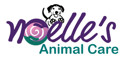 Noelle's Animal Care