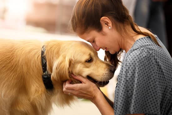 Young woman and dog bond in profile