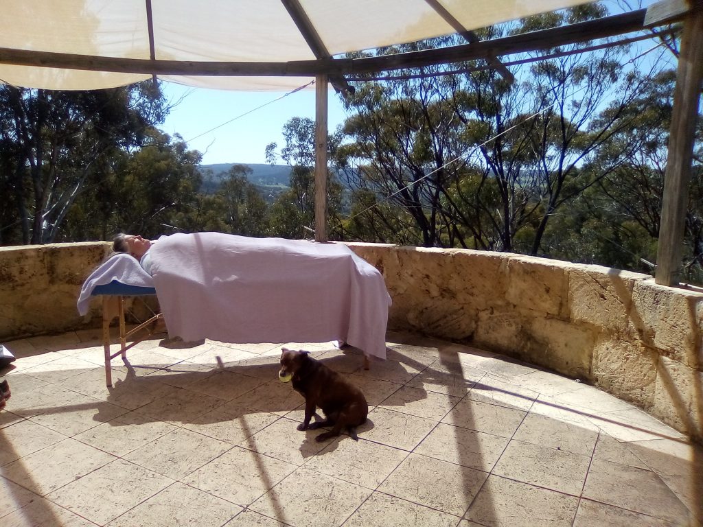 person on a Reiki table with dog at her side both relaxing
