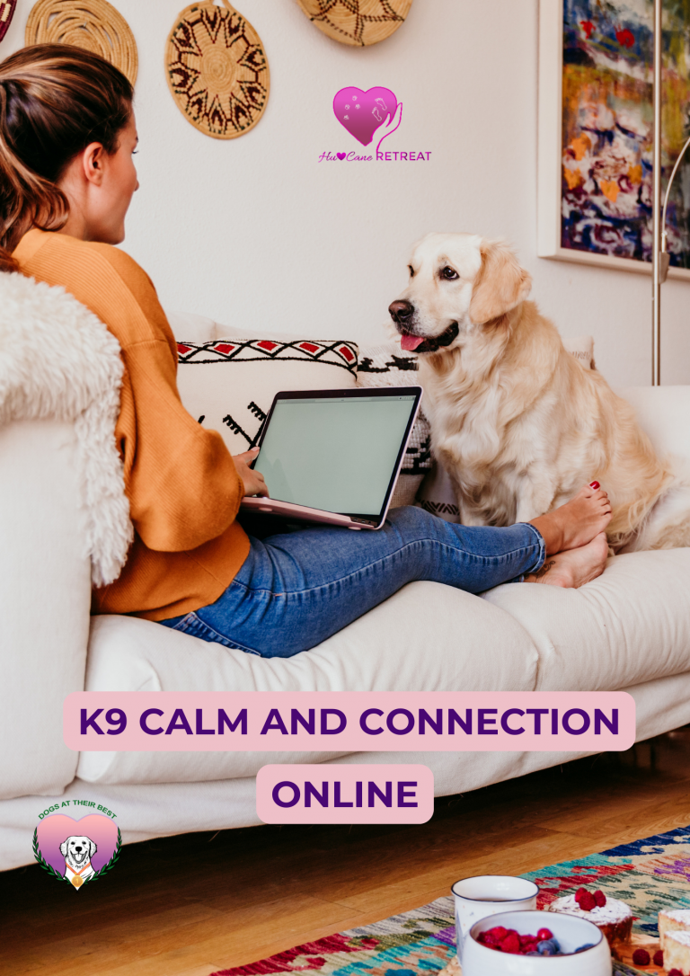 Golden Retriever dog and human mum looking at each other and connecting together over screen of a laptop on the lap of the woman both sitting on a couch, both relaxed and happy in a lounge room with wall decoration above them on their left